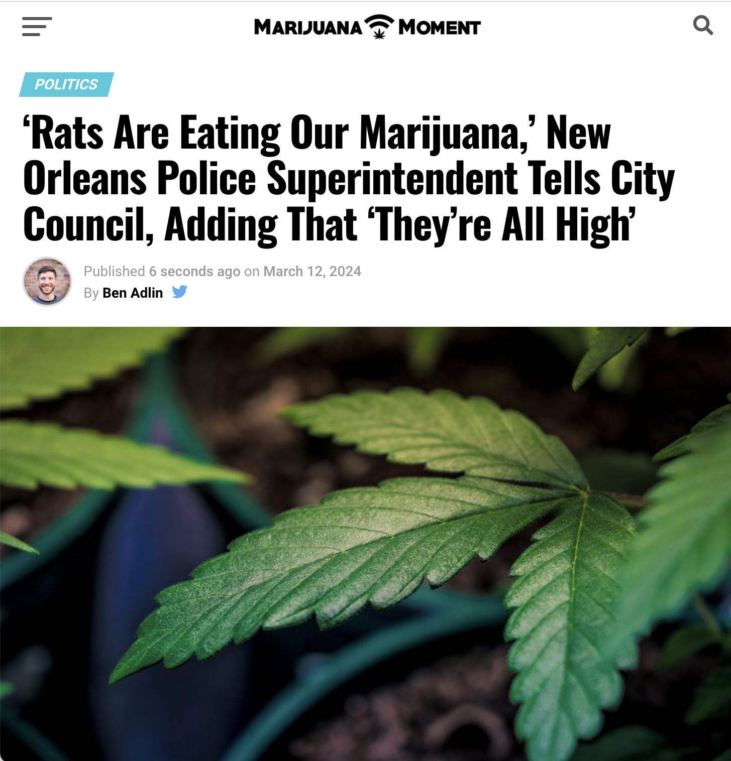 herbal - Politics Marijuana Moment 'Rats Are Eating Our Marijuana,' New Orleans Police Superintendent Tells City Council, Adding That 'They're All High' Published 6 seconds ago on By Ben Adlin a